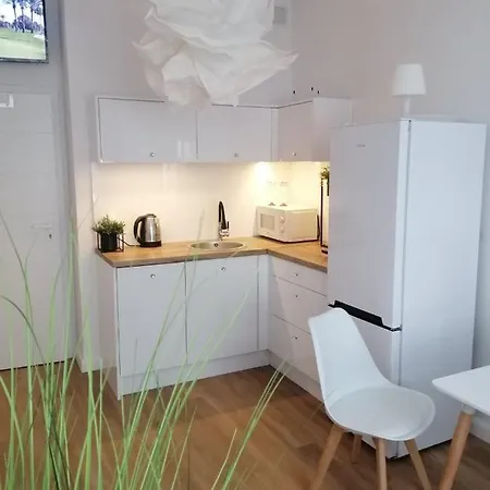 Apartament Elblag Goodenergy - Stare Miasto, Oldtown, Altstadt Exterior photo