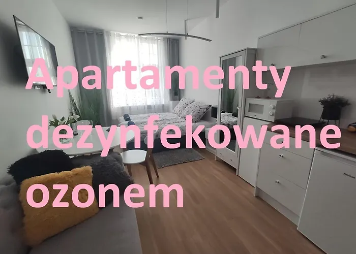 Apartament Elblag Goodenergy - Stare Miasto, Oldtown, Altstadt