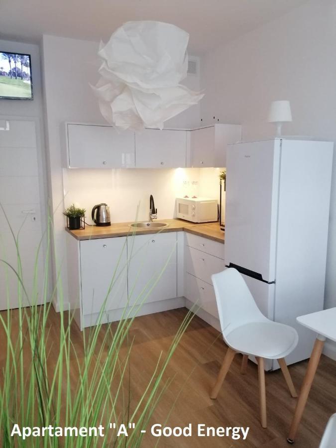 Goodenergy - Stare Miasto, Oldtown, Altstadt Apartment Elblag